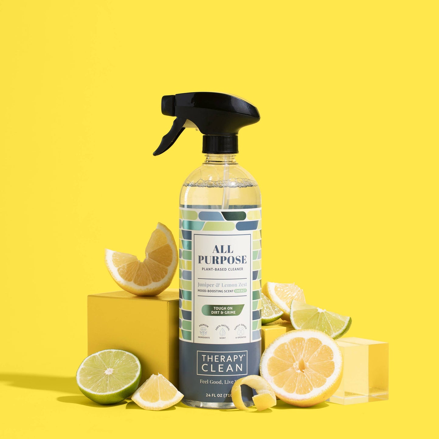 Therapy Clean - All Purpose Cleaner 24 oz.: Sea Salt & Eucalyptus