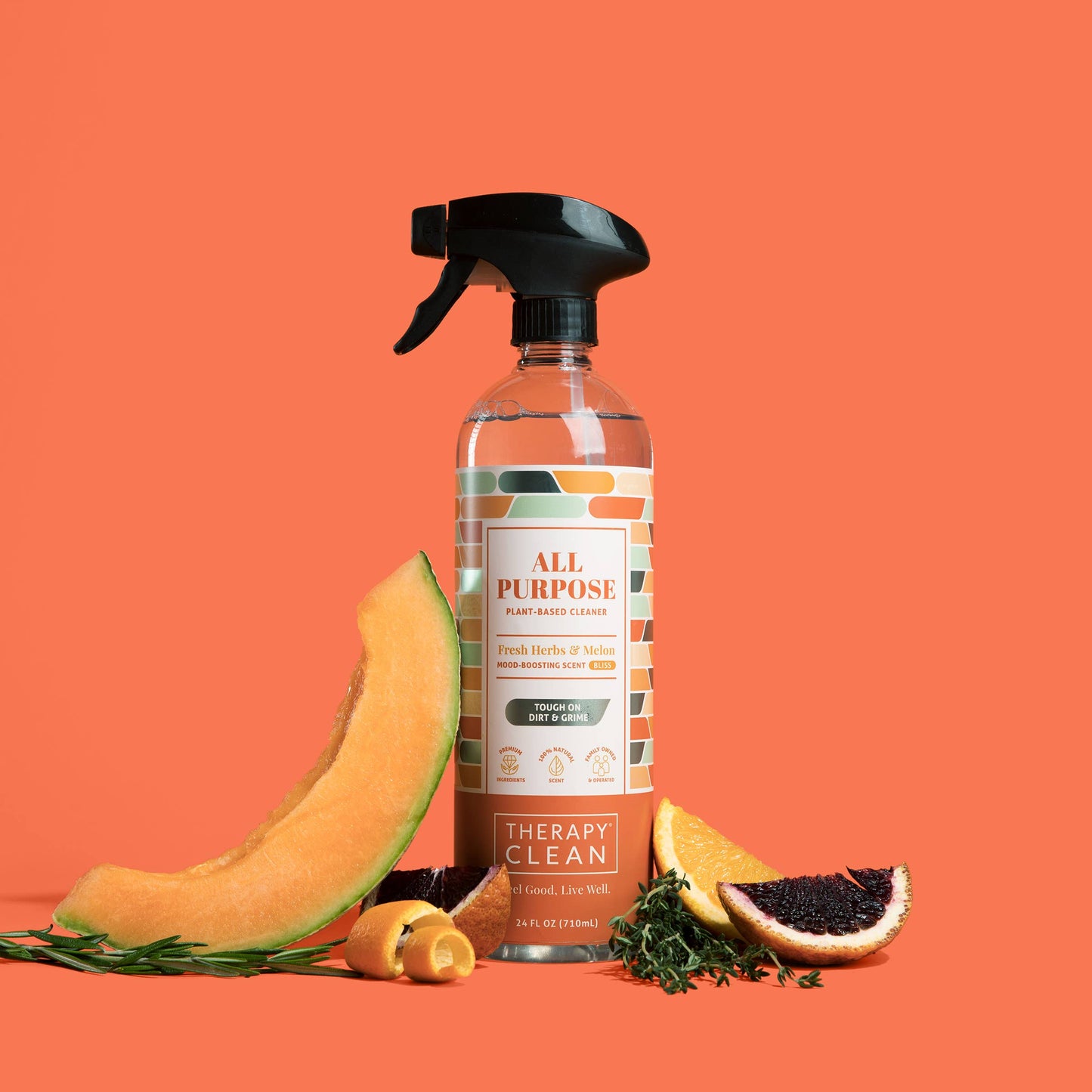 Therapy Clean - All Purpose Cleaner 24 oz.: Sea Salt & Eucalyptus