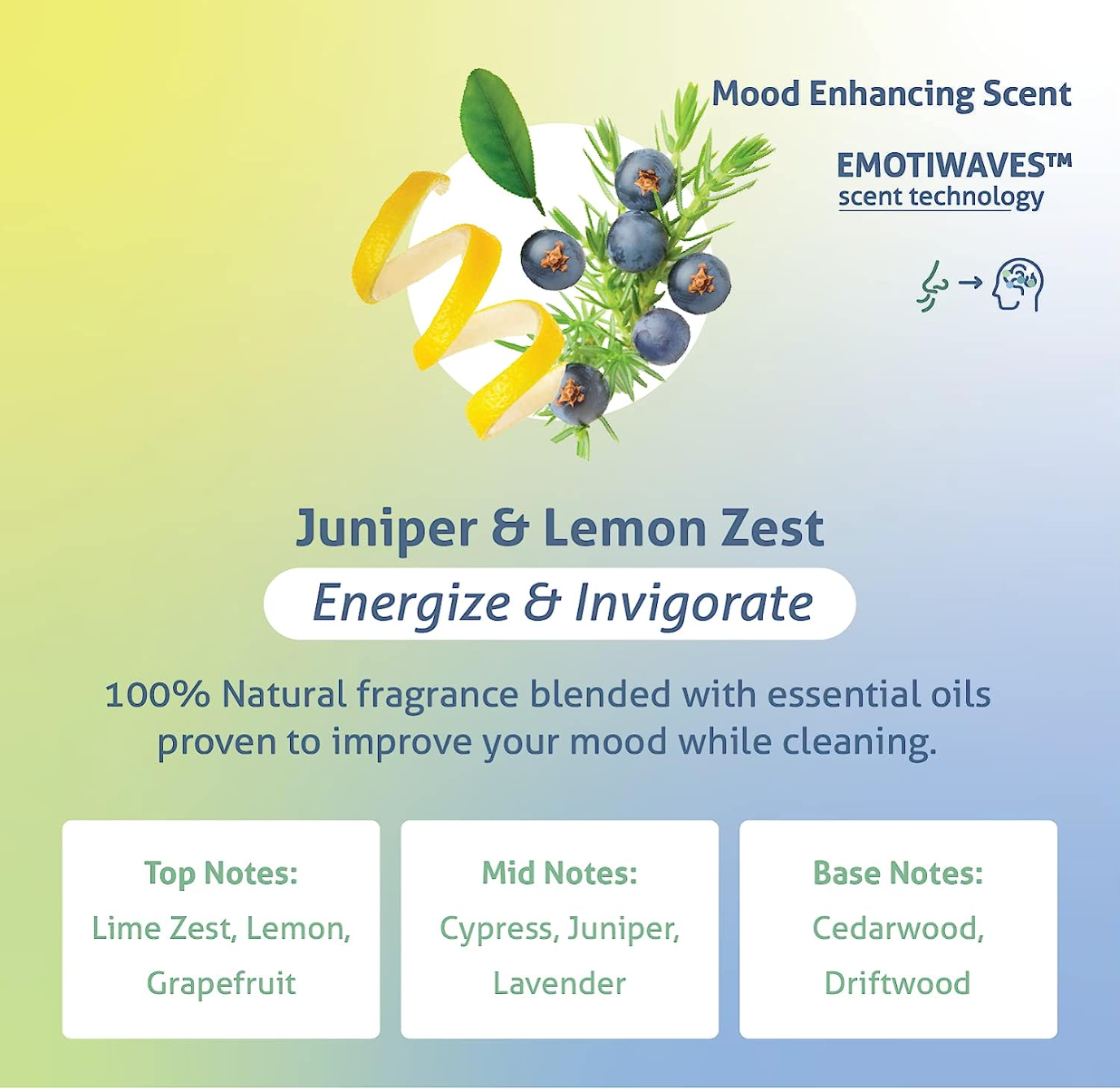 Therapy Clean - All Purpose Cleaner 24 oz.: Sea Salt & Eucalyptus