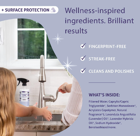 Therapy Clean - 16 oz. Stainless Steel Cleaner & Polish