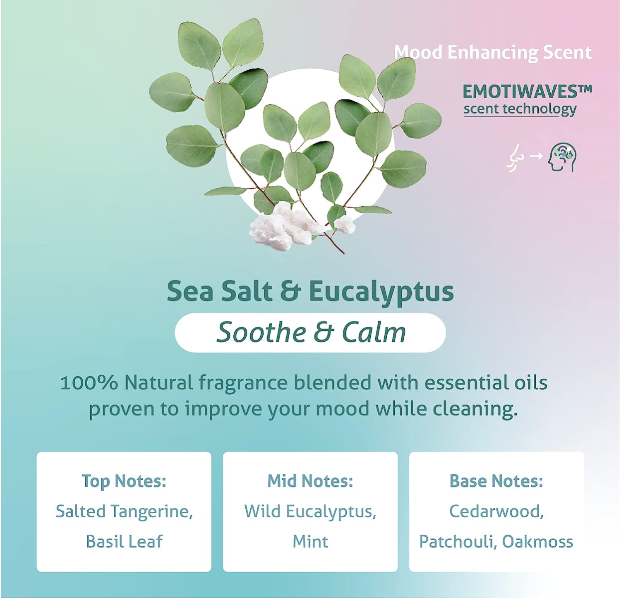Therapy Clean - All Purpose Cleaner 24 oz.: Sea Salt & Eucalyptus
